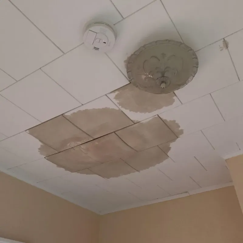 Ceiling Water Damage Repair in Port Wentworth, GA